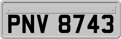 PNV8743