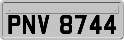 PNV8744