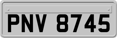 PNV8745
