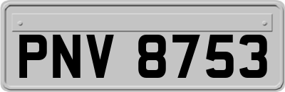 PNV8753