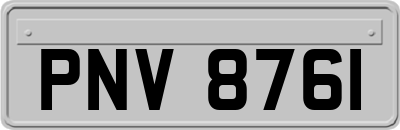 PNV8761