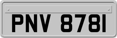 PNV8781
