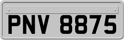 PNV8875