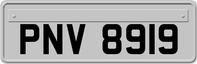 PNV8919