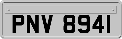 PNV8941