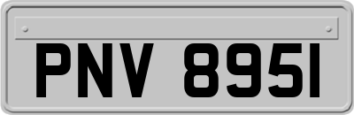 PNV8951