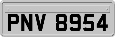 PNV8954