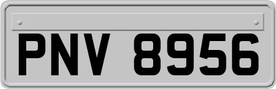 PNV8956