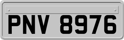 PNV8976
