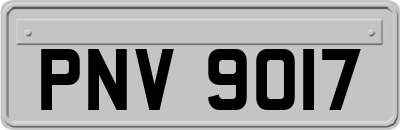 PNV9017