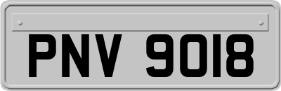 PNV9018
