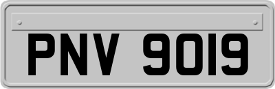 PNV9019