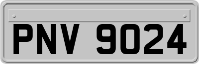PNV9024
