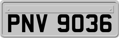 PNV9036