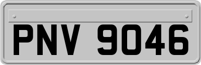 PNV9046