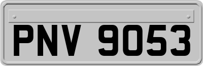 PNV9053