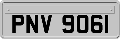 PNV9061