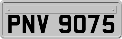 PNV9075