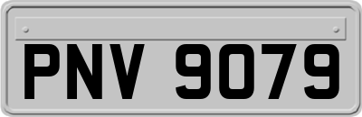 PNV9079
