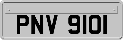 PNV9101