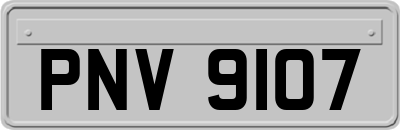 PNV9107