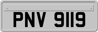 PNV9119