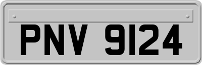 PNV9124