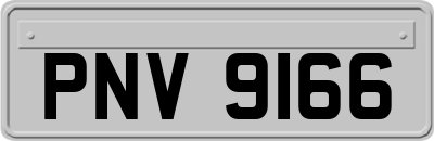 PNV9166