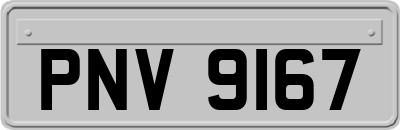 PNV9167