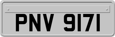 PNV9171