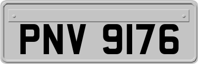 PNV9176