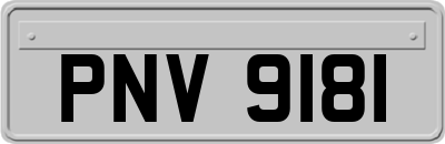 PNV9181
