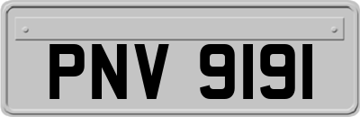 PNV9191