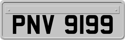PNV9199