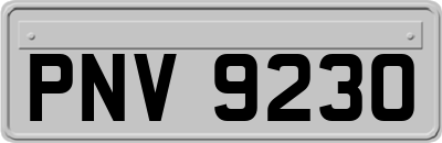 PNV9230