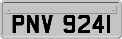 PNV9241
