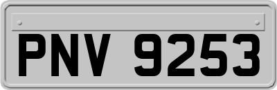 PNV9253