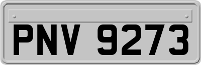PNV9273