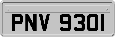 PNV9301