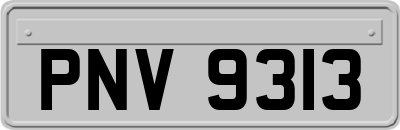 PNV9313