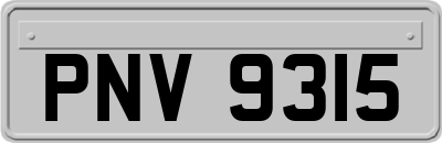 PNV9315