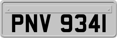 PNV9341
