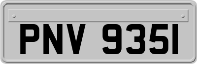 PNV9351