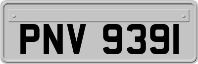 PNV9391