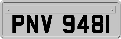 PNV9481
