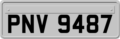 PNV9487