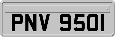 PNV9501