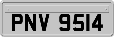 PNV9514