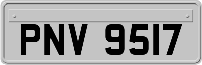 PNV9517