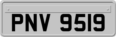 PNV9519
